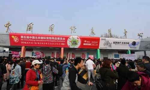 精彩回顾|汇聚全球目光第五届雄鹰京宠展盛大开幕第一天
