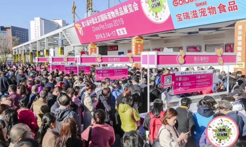 第六届京宠展,行走中的大型干货现场 !